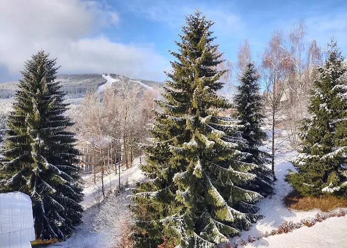 1 Апартаменты Шпиндлерув-Млин